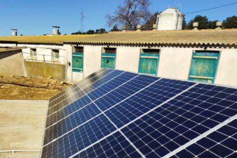 Activamos un autoconsumo solar en una granja de Forcall (Castellón) junto a Ercona Levante