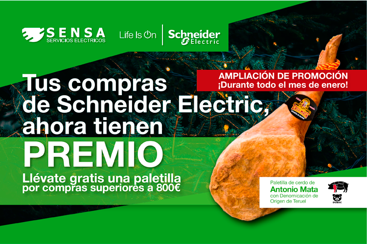 Sensa Servicios Eléctricos y Schneider Electric te regalan una paletilla