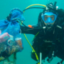 Sensa Servicios Eléctricos colabora con la XI Gran Limpieza de Fondos Marinos y Playas